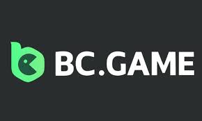 Comprehensive Support for BC.Game Your Guide to Stellar Assistance