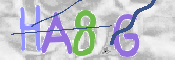 Immagine CAPTCHA